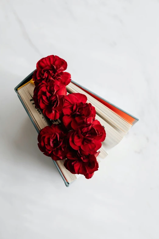 a book with red flowers on top of it, featured on pinterest, full product shot, romantic lead, monochromatic red, curated collection