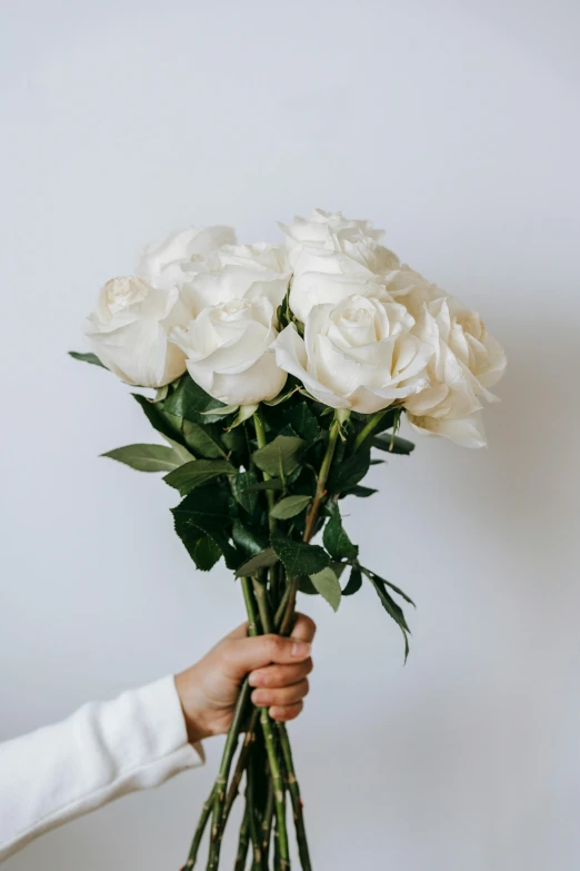 a person holding a bunch of white roses, a still life, trending on unsplash, crisp smooth clean lines, hearts, pristine and clean design, tall