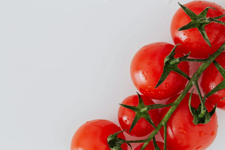 a bunch of tomatoes sitting on top of a white surface, by Tom Bonson, unsplash, award-winning crisp details”, background image, product view, side profile view