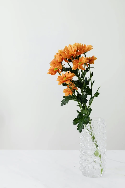 a vase filled with orange flowers sitting on a table, on clear background, asymmetrical design, chrysanthemum, but minimalist