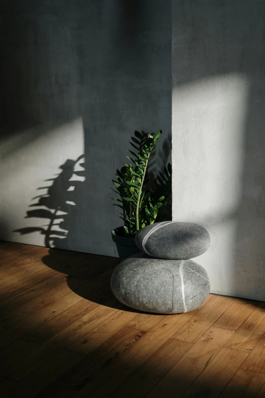 a rock sitting on top of a wooden floor next to a plant, a marble sculpture, inspired by Isamu Noguchi, unsplash, concrete art, fumo plush, back lit, cushions, soft oval face