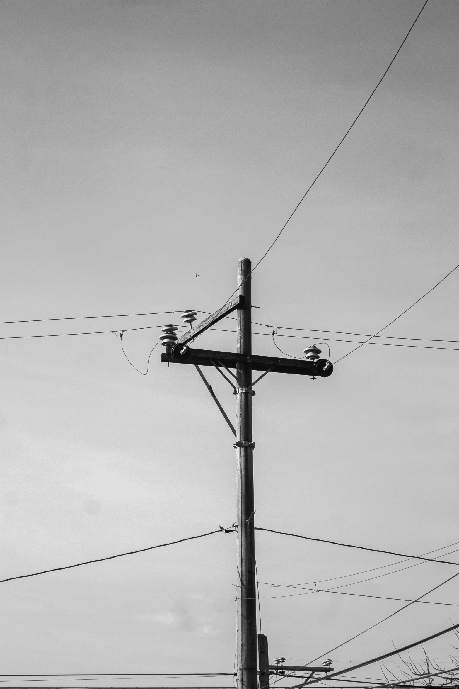 a black and white photo of power lines, a black and white photo, unsplash, a wooden, isolated, 2019 trending photo