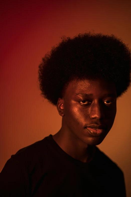 a close up of a person with an afro, by Nathalie Rattner, pexels contest winner, portrait of young man, standing in a dimly lit room, black teenage girl, promotional image