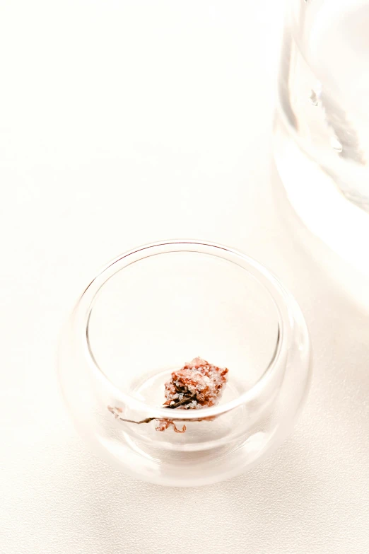 a close up of a glass of water with a flower in it, an ultrafine detailed painting, by Nina Hamnett, unsplash, an island made of red caviar, on white background, nug pic, small square glasses