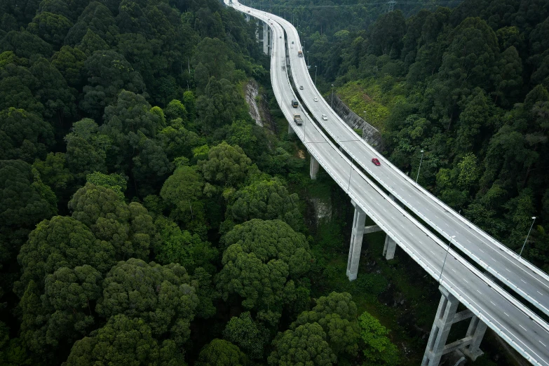 a train traveling over a bridge in the middle of a forest, inspired by Cheng Jiasui, unsplash contest winner, hurufiyya, car on highway, helicopter view, malaysia jungle, thumbnail