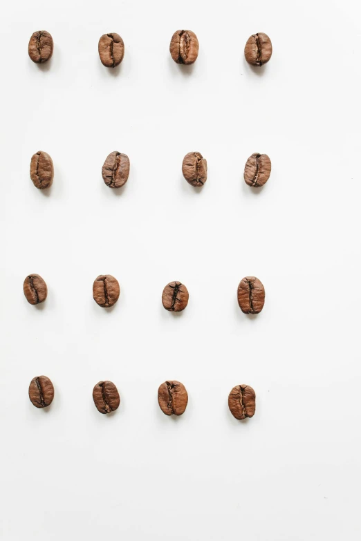 a number of nuts on a white surface, by Yasushi Sugiyama, trending on unsplash, hyperrealism, coffee beans, in a row, hanging, ffffound