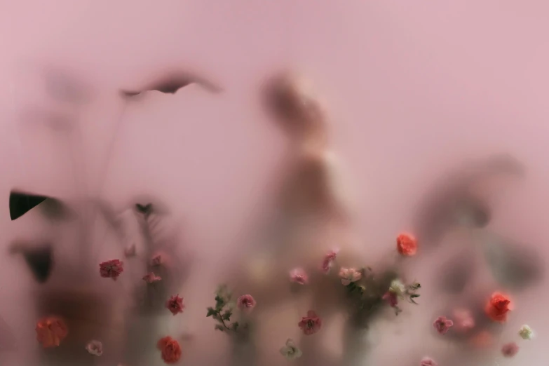 a woman standing in a field of flowers, a picture, inspired by Anna Füssli, faded pink, nick knight, ignant, blurred