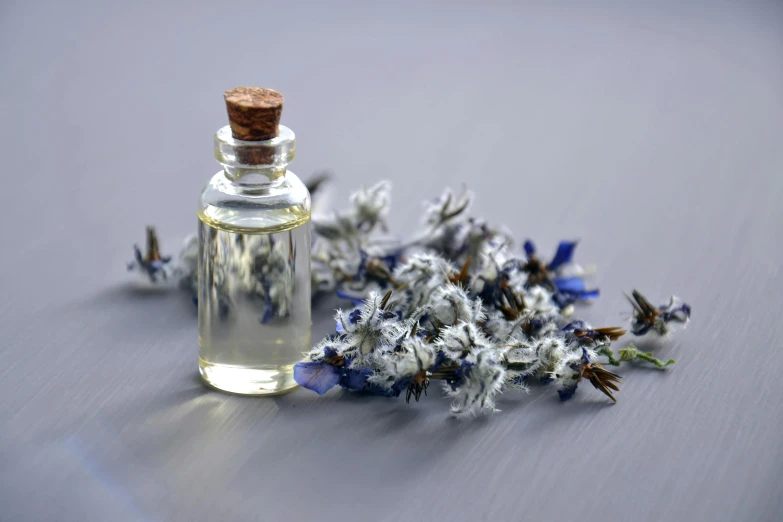 a bottle of essential oil next to a bunch of flowers, by Daniel Lieske, pexels contest winner, grey and blue theme, lavender, miniatures, thumbnail