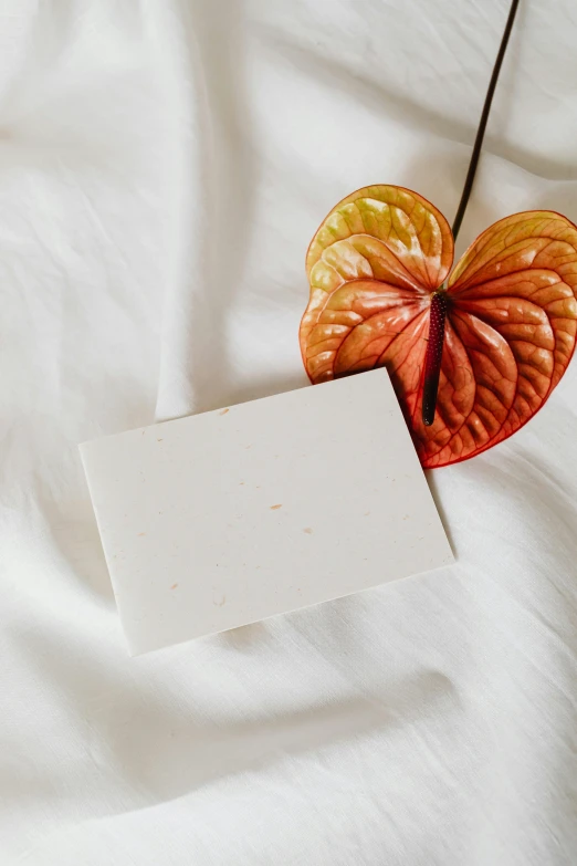 a piece of paper sitting on top of a bed, a marble sculpture, by Nicolette Macnamara, unsplash, soap, leafs, card, orange