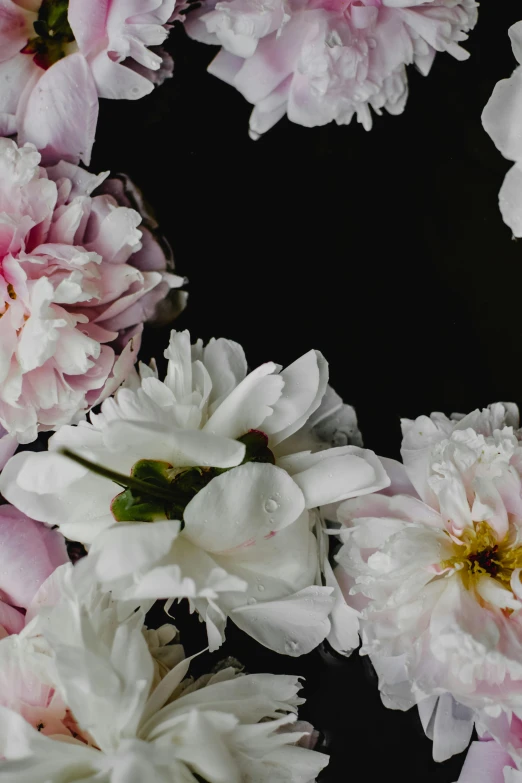 a bunch of white and pink flowers in a circle, a still life, by Emanuel de Witte, trending on unsplash, romanticism, black peonies, with a black background, website banner, detail shot