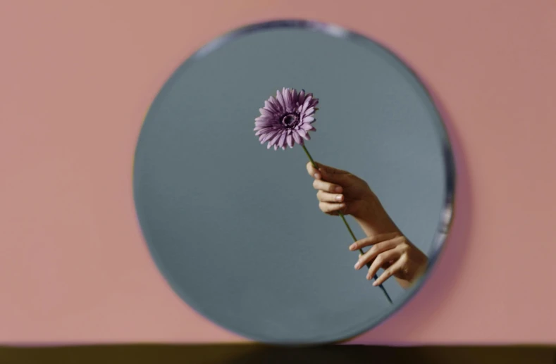 a person holding a flower in front of a mirror, inspired by Robert Mapplethorpe, trending on pexels, magic realism, round-cropped, mauve and cyan, clemens ascher, highly realistic