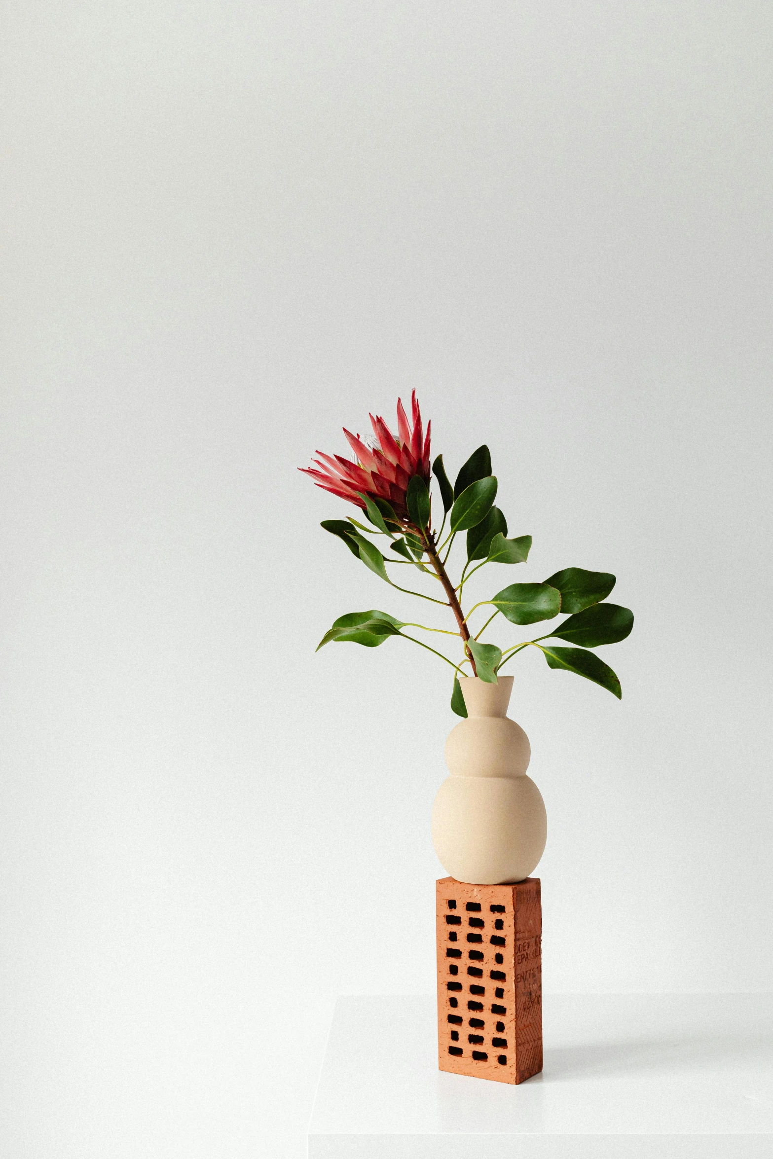 a vase with a flower in it sitting on a table, inspired by Giorgio Morandi, new sculpture, city scape, bromeliads, small crown, studio product shot