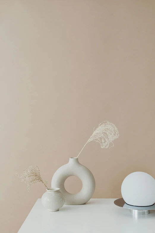 two white vases sitting on top of a white table, by Anna Boch, trending on pexels, minimalism, beige mist, white sweeping arches, background image, circle forms