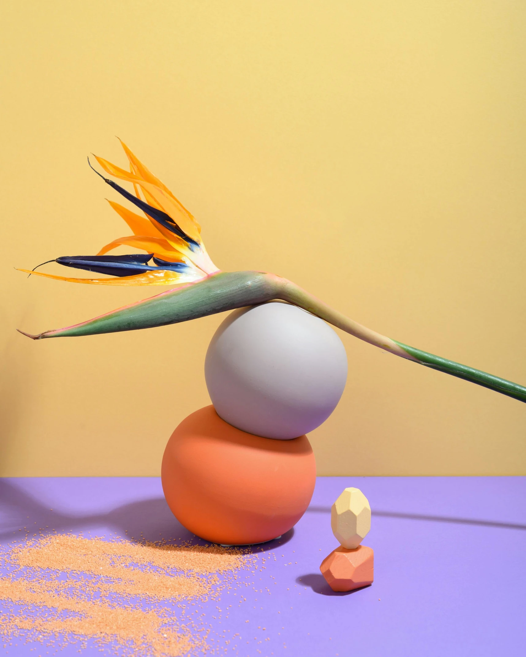 a vase sitting on top of a table next to a bird of paradise flower, a surrealist sculpture, pexels contest winner, orange pastel colors, floating spheres and shapes, confident pose, close-up photograph