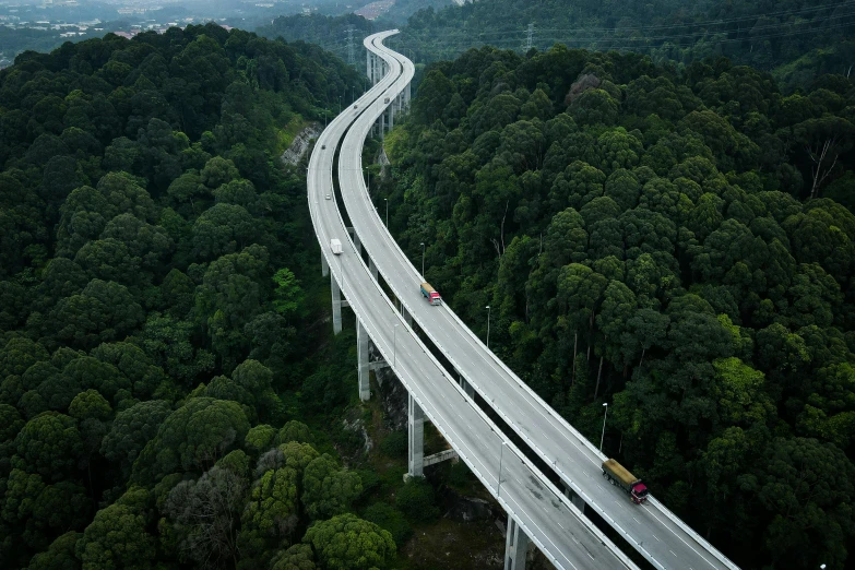 a train traveling over a bridge in the middle of a forest, pexels contest winner, hyperrealism, car on highway, malaysia jungle, helicopter view, thumbnail