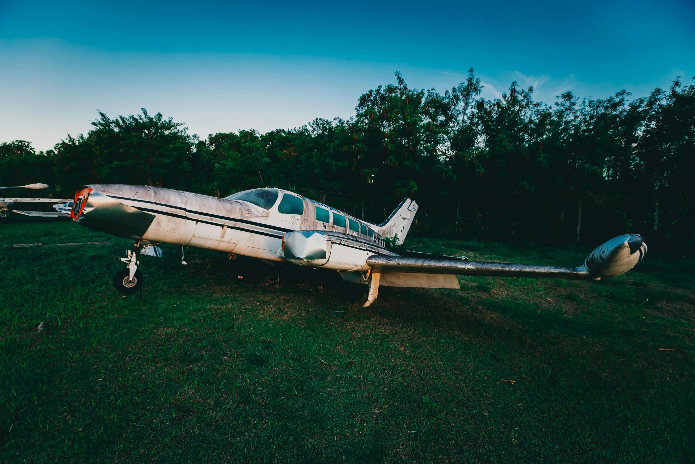 a small airplane sitting on top of a lush green field, a portrait, pexels contest winner, auto-destructive art, twilight junkyard, retro colour, profile image, aerial iridecent veins