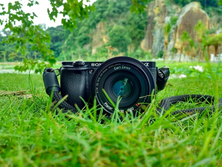 a camera sitting on top of a lush green field, a picture, sony lens, mirrorless camera, dslr camera, close to the camera