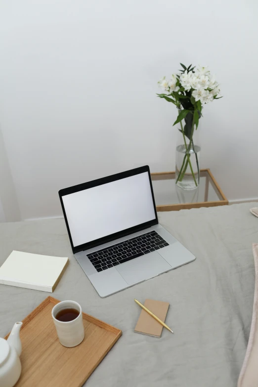 a laptop computer sitting on top of a bed, trending on unsplash, books and flowers, low quality photo, office clothes, blank background