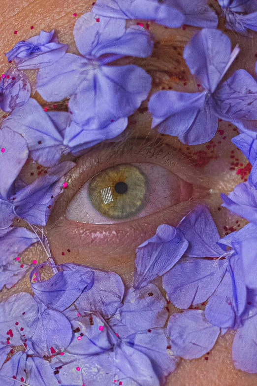 a close up of a person's face with flowers on it, an album cover, inspired by Attila Meszlenyi, hyperrealism, purple eye color, scientific photo, full body close-up shot, biophilia mood