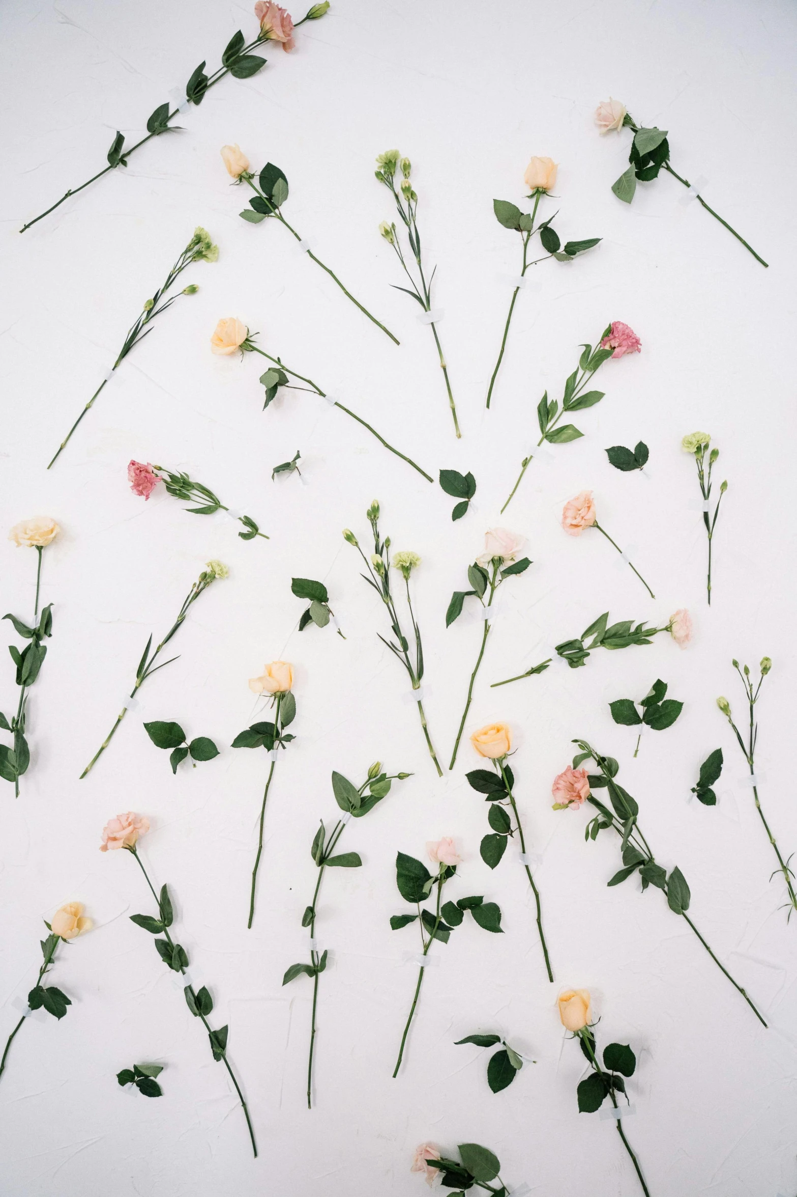 a bunch of flowers sitting on top of a white surface, by Rebecca Horn, trending on unsplash, aestheticism, delicate patterned, scattered props, decorative roses, in a row