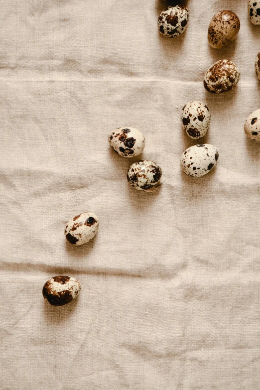 a table topped with lots of different types of eggs, an album cover, by Jan Tengnagel, trending on pexels, baroque, white with black spots, textile, hemp, 15081959 21121991 01012000 4k