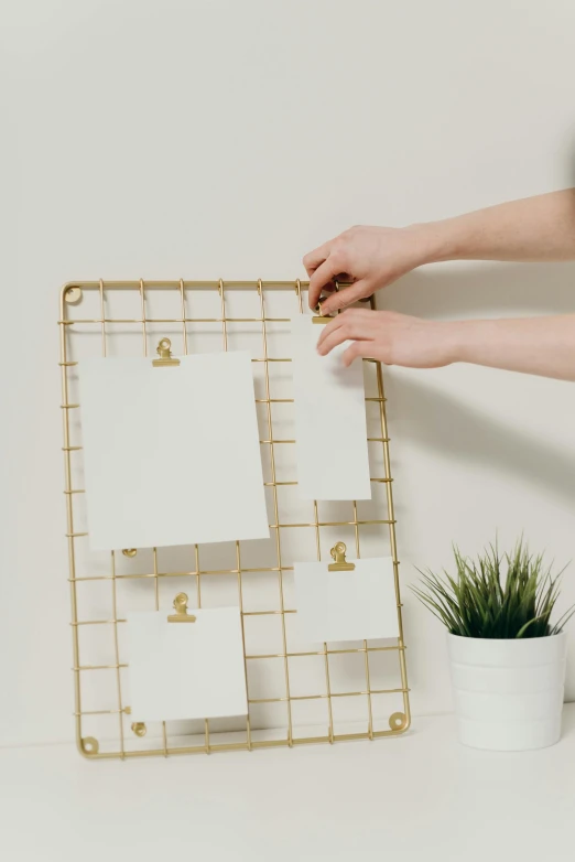 a person hanging a calendar on a wall next to a potted plant, gold and luxury materials, mesh structure, square sticker, curated collections