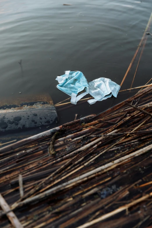 a piece of plastic sitting on top of a body of water, unsplash, bags on ground, tiny sticks, made of lab tissue, promo image