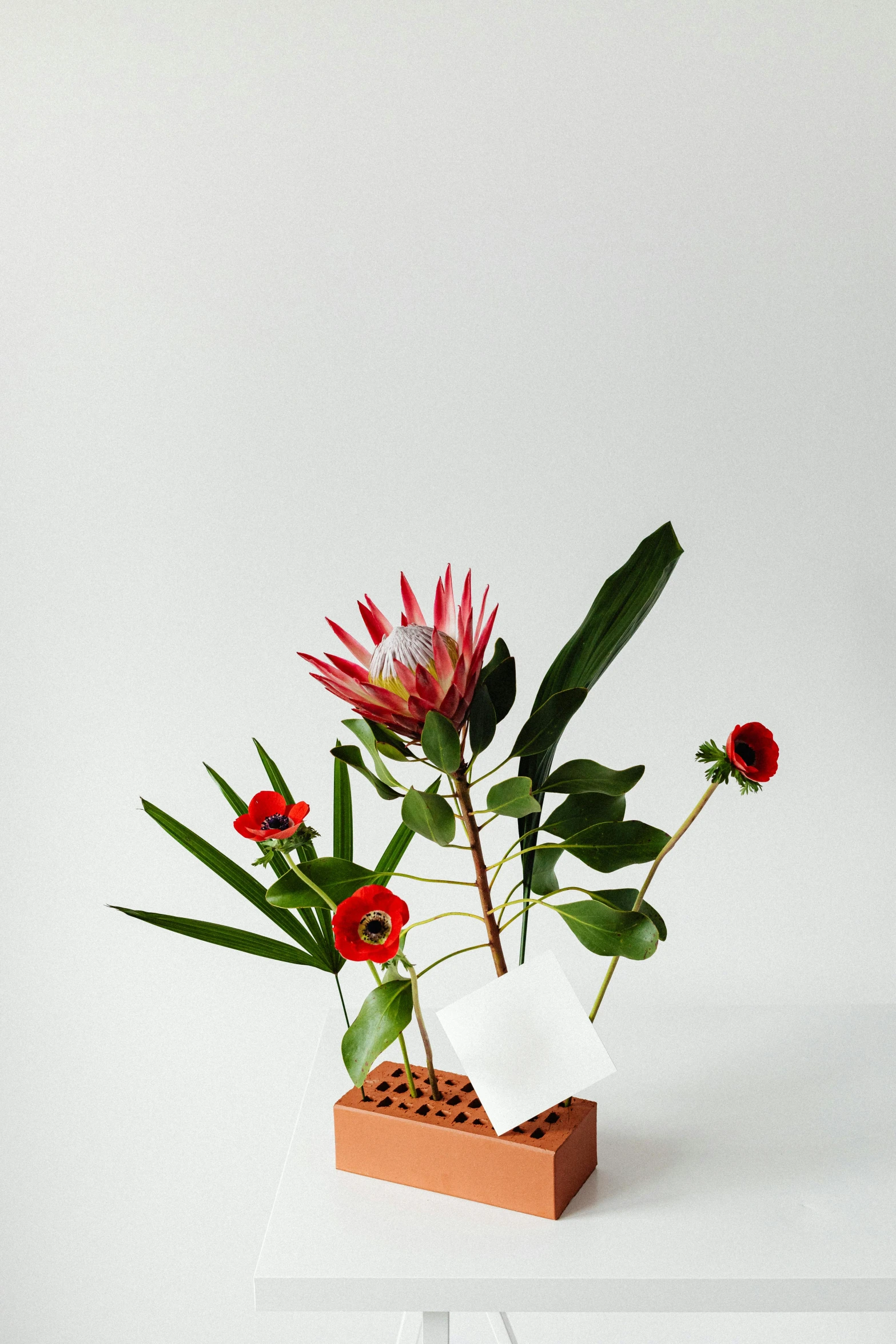 a white table topped with a vase filled with flowers, inspired by Sawa Sekkyō, unsplash, modernism, dragon fruits, grid arrangement, set against a white background, a wooden