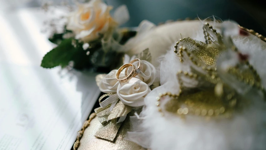 a pair of wedding rings sitting on top of a pair of shoes, pexels contest winner, romanticism, gold floral headdress, satin ribbons, silver，ivory, golden collar