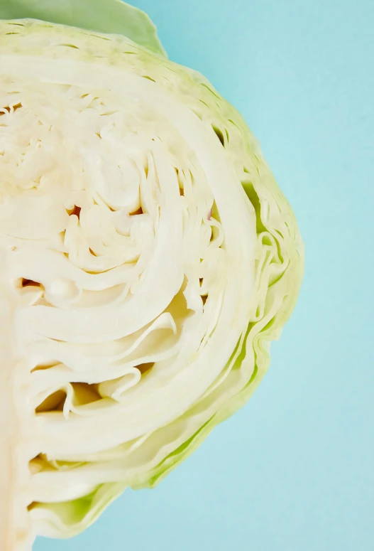 a close up of a cabbage on a blue surface, by Carey Morris, epicurious, light blue skin, slightly smirking, slide show