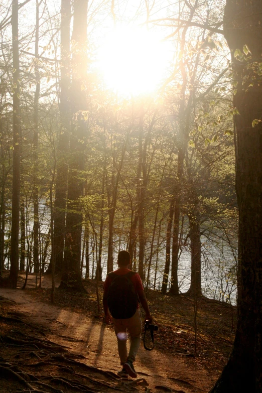 a person walking down a path in the woods, sunlight reflected on the river, new hampshire, sun down, may)