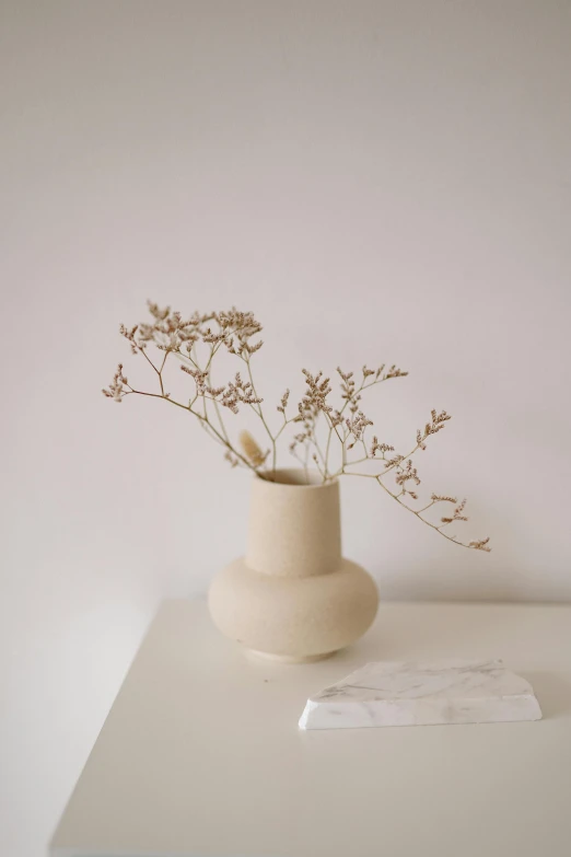 a vase sitting on top of a white table, by Rebecca Horn, minimalism, sandy beige, branches growing as hair, beautifully soft lit, detailed product image