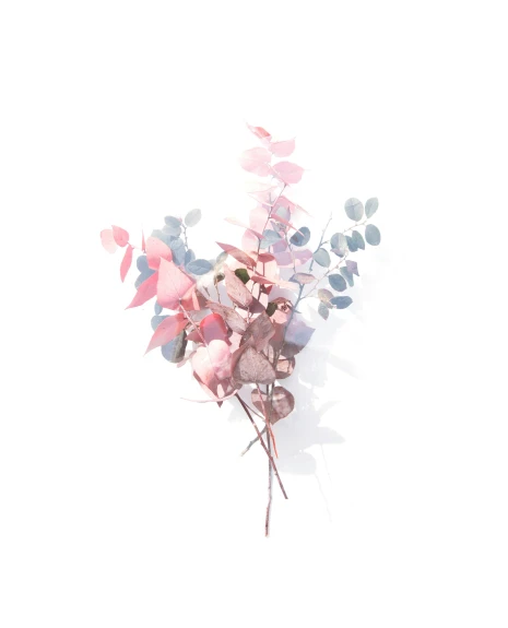 a close up of a bunch of flowers on a white surface, inspired by Yanjun Cheng, unsplash, soft 3d render, eucalyptus, pink and blue colour, ilustration