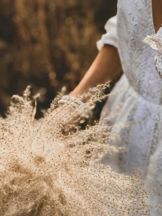 a woman in a white dress holding a bouquet of flowers, inspired by Elsa Bleda, trending on unsplash, dried fern, 15081959 21121991 01012000 4k, seeds, grass