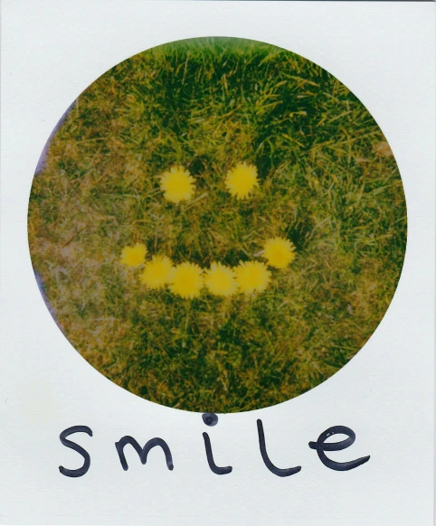 a picture of a smiley face in the grass, an album cover, by Attila Meszlenyi, flickr, land art, ( ( risograph ) ), dandelion, 2005, coloured polaroid photograph