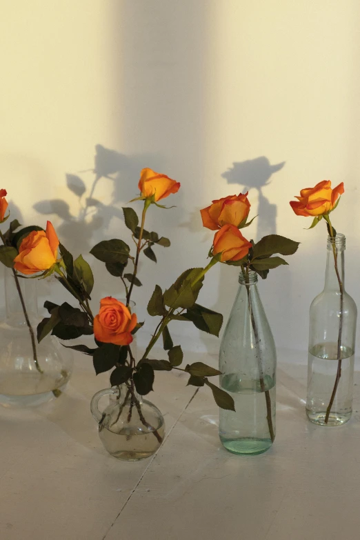 a number of vases with flowers in them on a table, by Marion Ancrum, trending on unsplash, photo of a rose, orange yellow ethereal, soft light from the side, on clear background