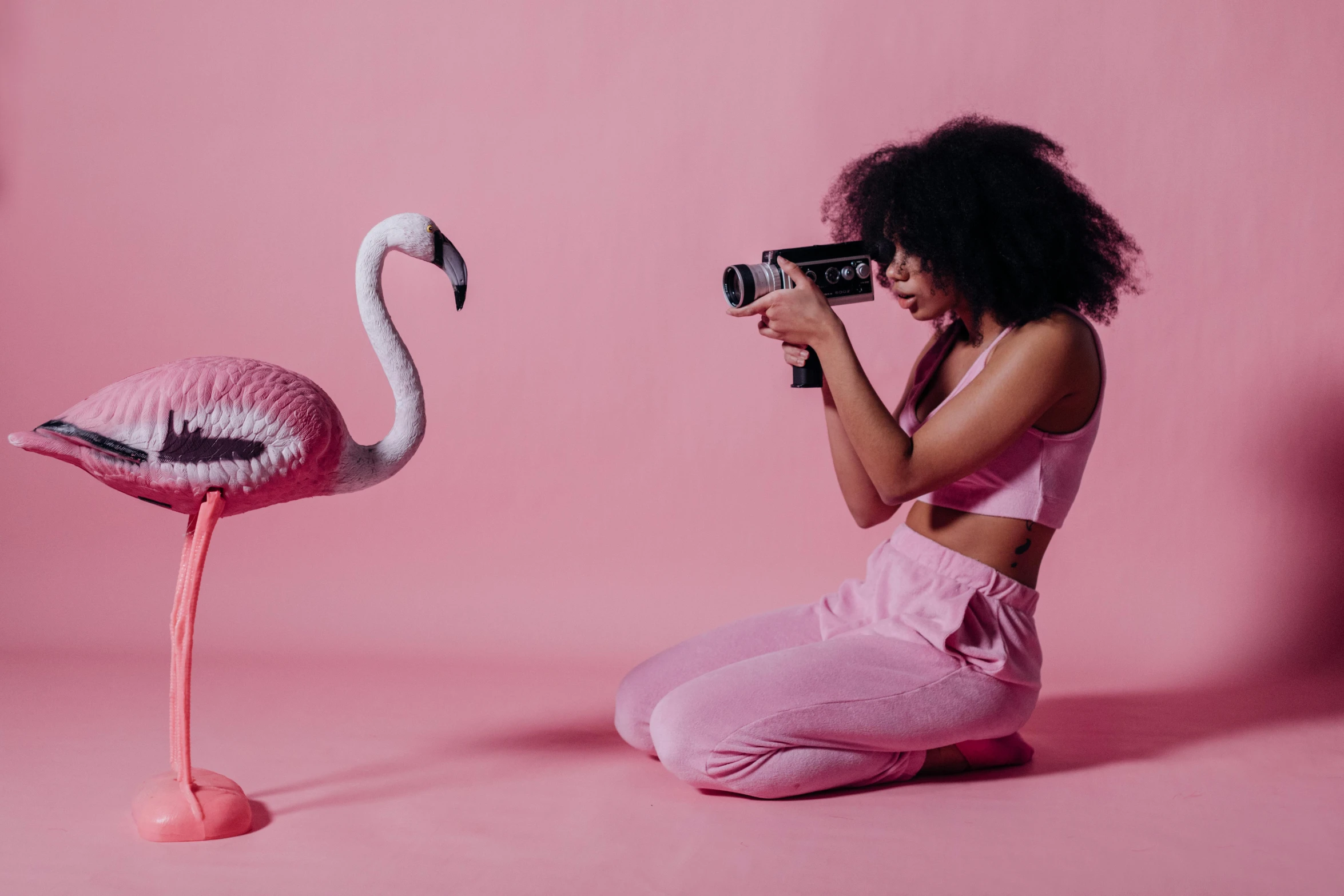 a woman taking a picture of a pink flamingo, a photo, by Sam Charles, pexels contest winner, claymation character, with afro, model shoot, various posed