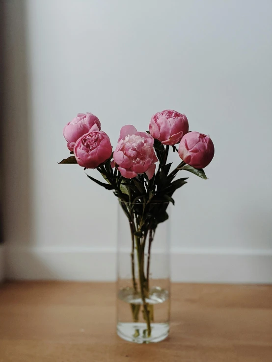 a vase filled with pink flowers on top of a wooden table, unsplash, hyperrealism, peony flower, ((pink)), large tall, embroidered velvet