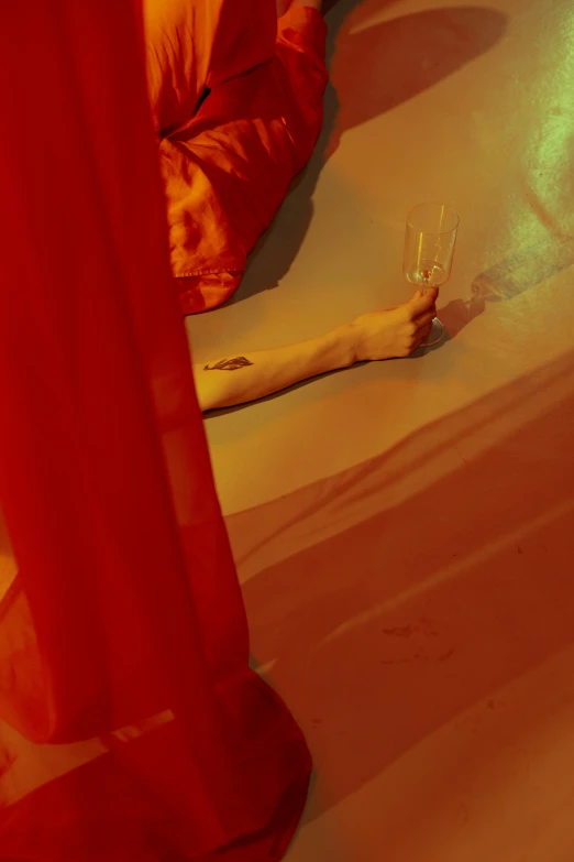 a dog laying on the floor next to a red curtain, inspired by Nan Goldin, unsplash, gutai group, female death holding a cocktail, detail shot, ignant, red and gold cloth