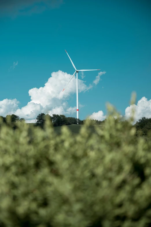 a wind turbine sitting on top of a lush green field, a picture, pexels contest winner, sky blue, eucalyptus, turbulence, high quality image”