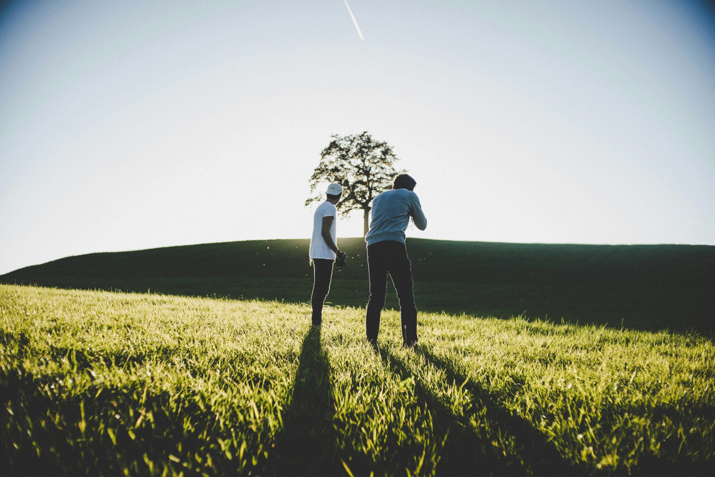 a couple of people standing on top of a lush green field, a picture, pexels contest winner, back lit, with a tall tree, taking a picture, plain background