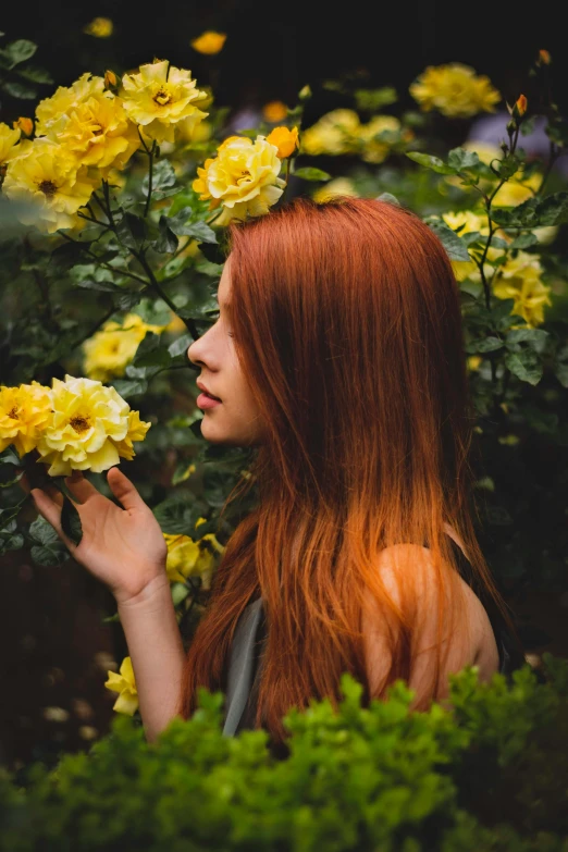 a woman standing in front of a bush of yellow flowers, inspired by Elsa Bleda, pexels contest winner, renaissance, red long hair, young beautiful amouranth, photo of a rose, profile pic