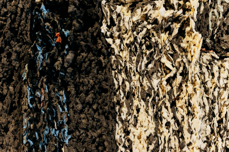 a close up of the bark of a tree, an album cover, by Alberto Burri, unsplash, abstract expressionism, flowing lava and ash piles, color ektachrome photograph, rock climbers climbing a rock, reunion island