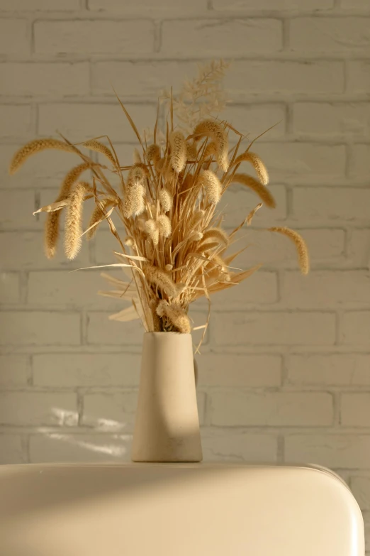 a white vase sitting on top of a white table, shades of gold display naturally, malt, soft lighting, harvest