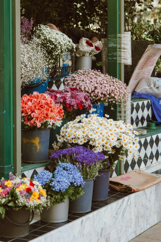 a bunch of buckets of flowers in front of a store, city views, al fresco, looking from side, zoomed in