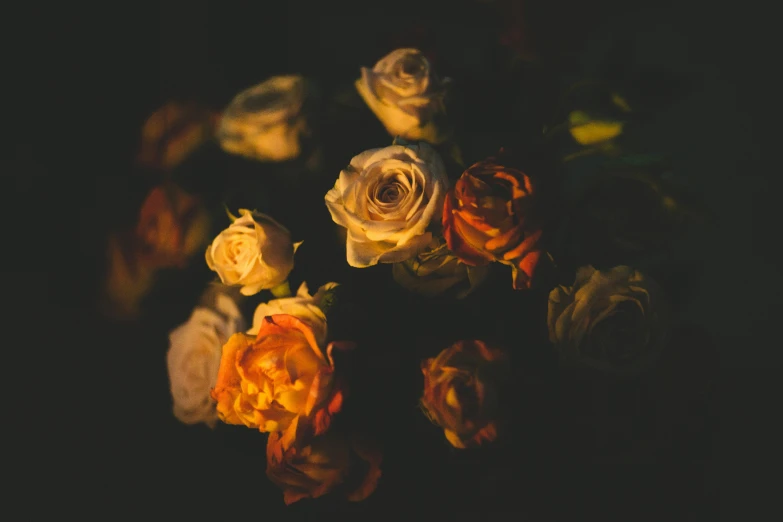 a bunch of roses sitting on top of a table, an album cover, inspired by Elsa Bleda, trending on unsplash, dark warm light, dark flower pattern wallpaper, spooky photo, underexposed