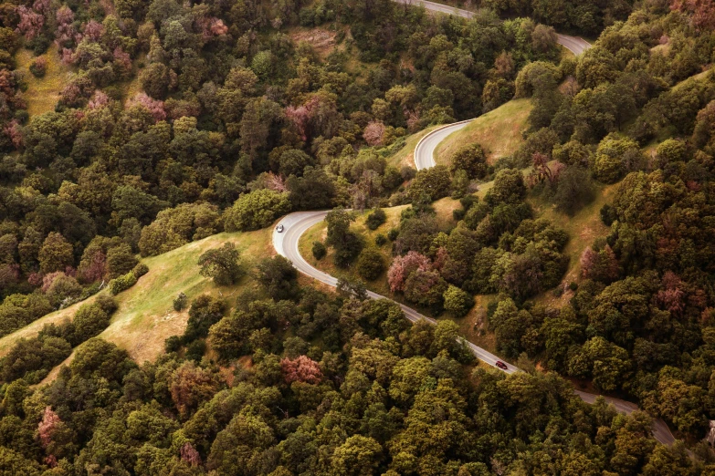 an aerial view of a winding road surrounded by trees, by Lee Loughridge, unsplash contest winner, 2 5 6 x 2 5 6 pixels, napa, panels, downhill landscape