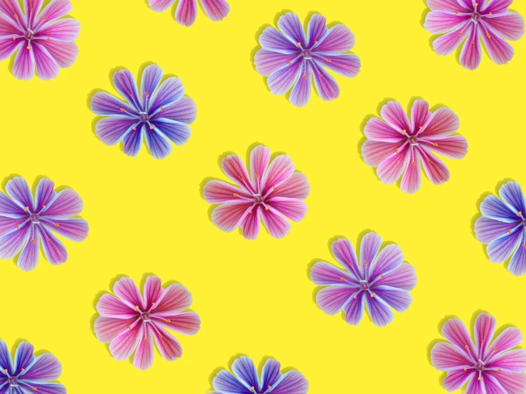 a bunch of paper flowers on a yellow background, by Jeka Kemp, pixabay, pop art, seamless pattern design, neon pastel, vortex of plum petals, colorful pigtail