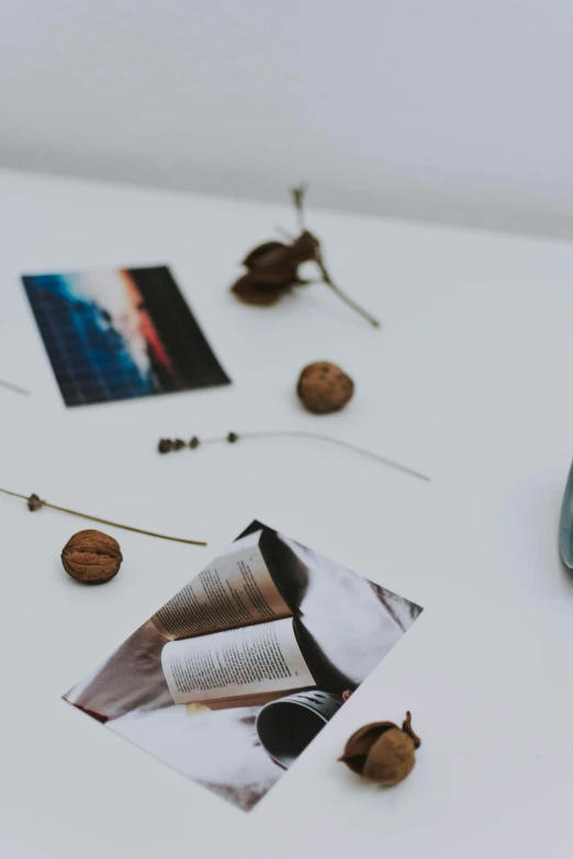 a cell phone sitting on top of a white table, a picture, visual art, dried plants, miscellaneous objects, digital image, vinyl material