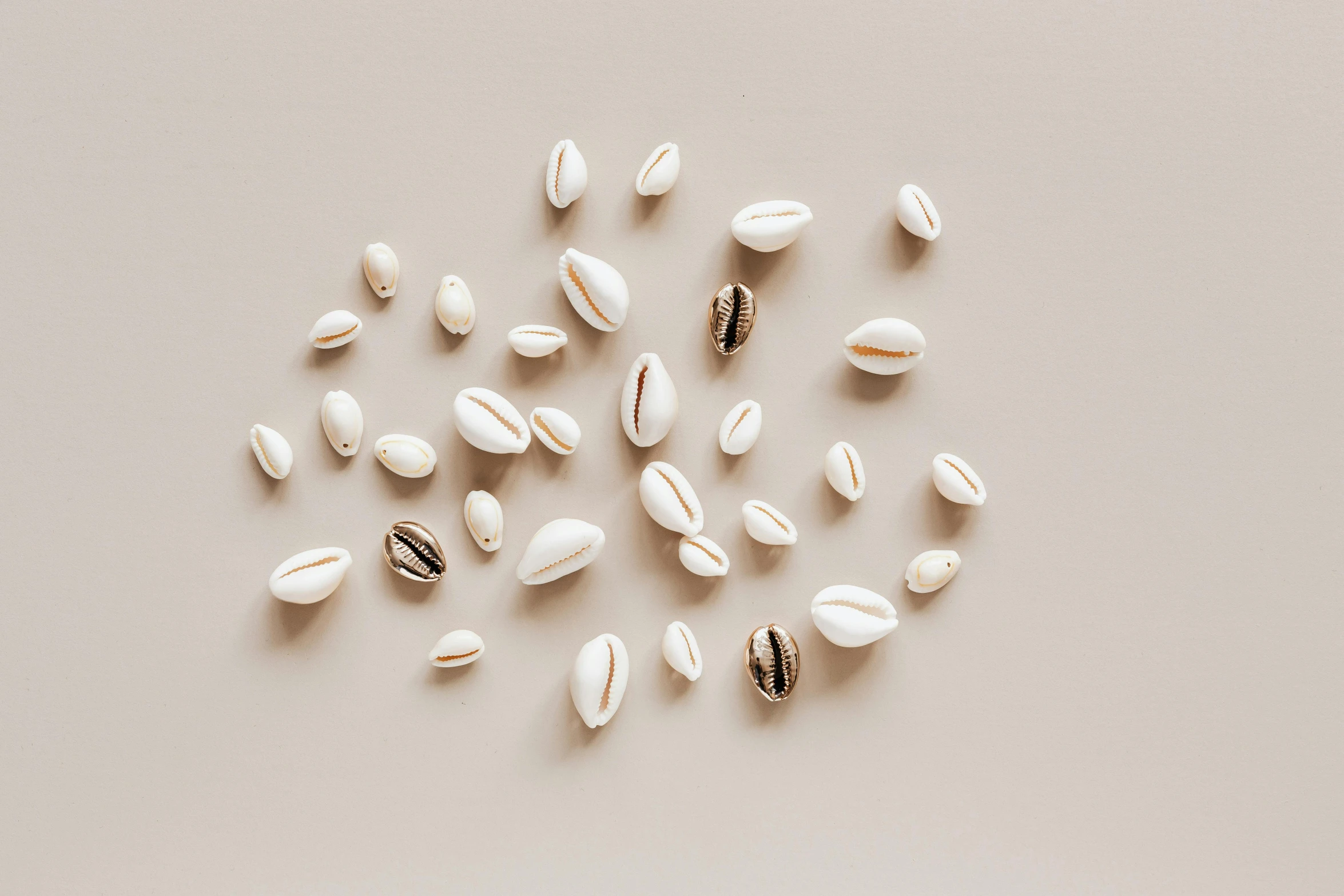 a pile of cowrie shells on a white surface, trending on pexels, minimalism, miniature product photo, beige, 15081959 21121991 01012000 4k, tooth wu : : quixel megascans